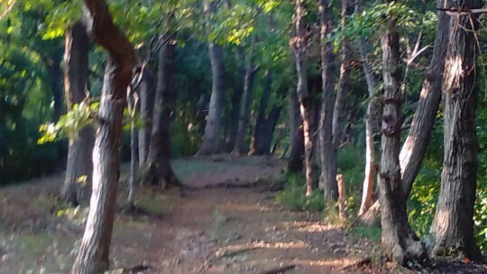 川崎北部トレイル＆温泉ラン！の写真6