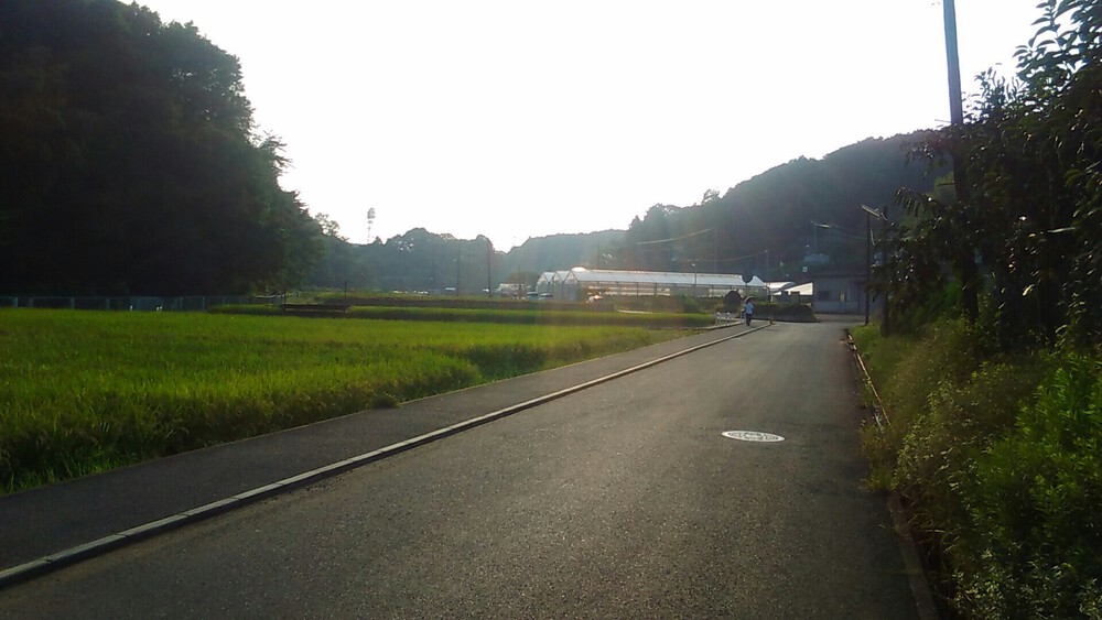 川崎北部トレイル＆温泉ラン！の写真7