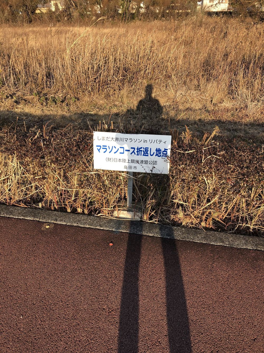 大井川マラソン専用コース ＂リバティ＂の写真3