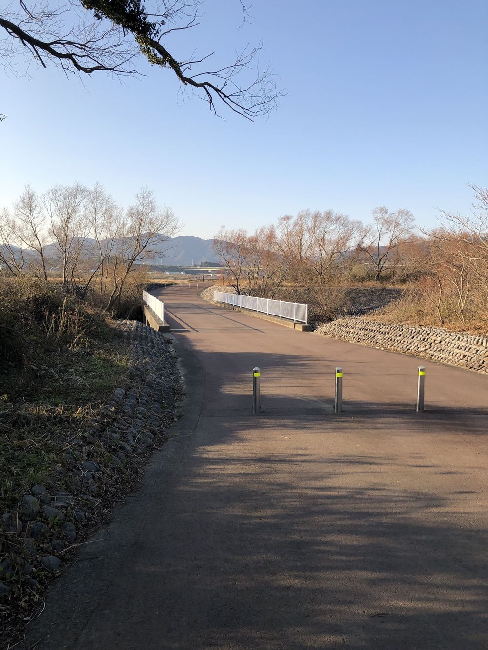 大井川マラソン専用コース ＂リバティ＂の写真5