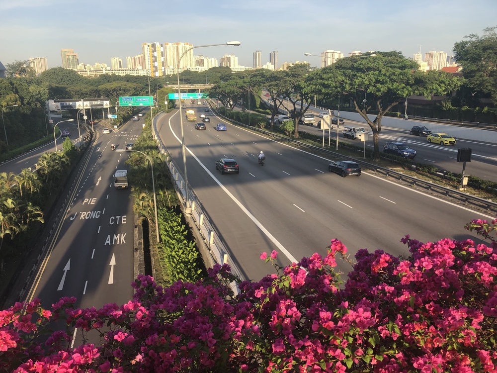 Kallang River Upstream Runの写真13
