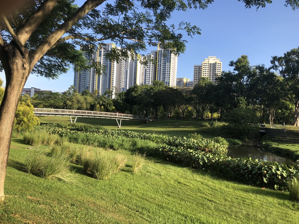 Kallang River Upstream Runの写真20