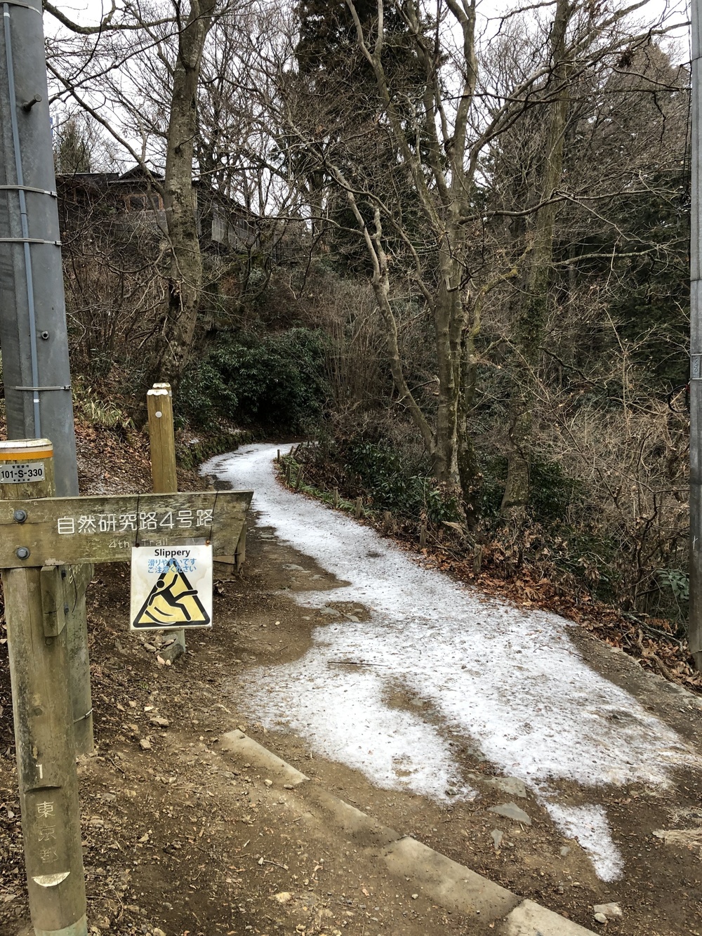 My first attack at Mount Takaoの写真6