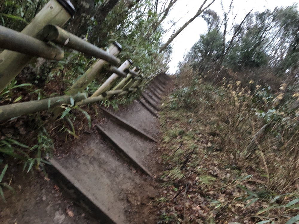 My first attack at Mount Takaoの写真7