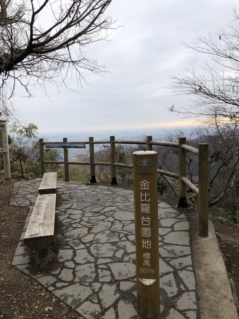 My first attack at Mount Takaoの写真9