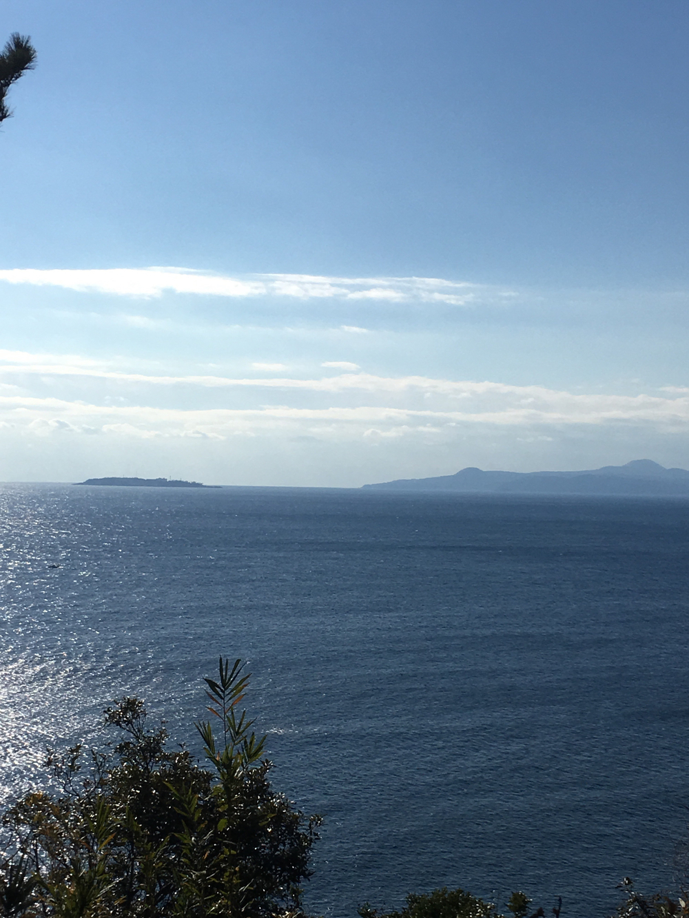 真鶴半島 周回＋往復(温泉・お刺身)ランの写真4
