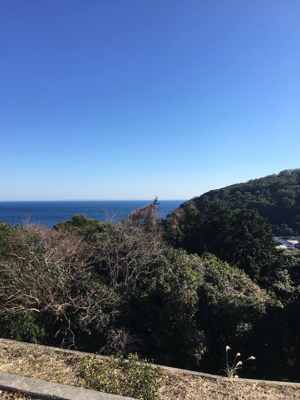 真鶴半島 周回＋往復(温泉・お刺身)ランの写真6