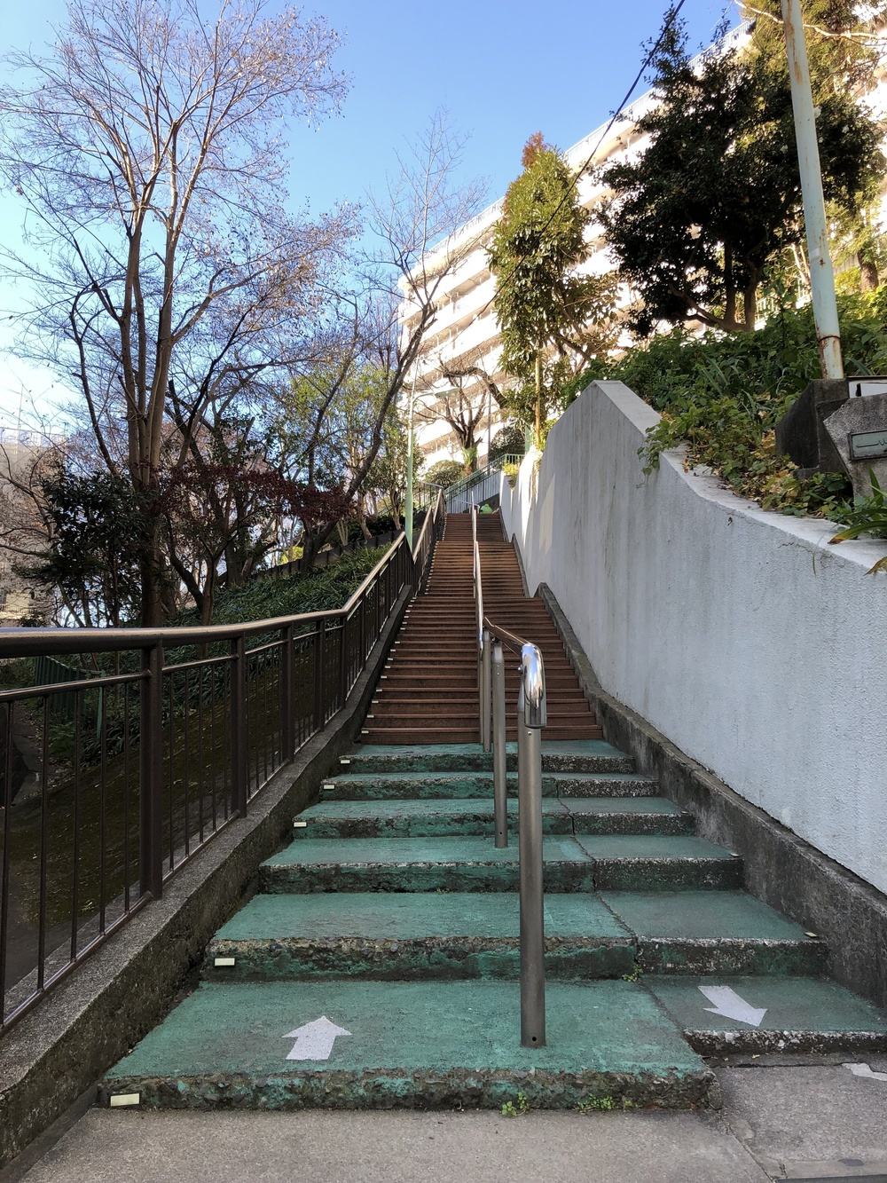 東京のど真ん中を駆け上がれ！赤坂の坂を盛んに学ぶ会Attack at climb of AKASAKAの写真10