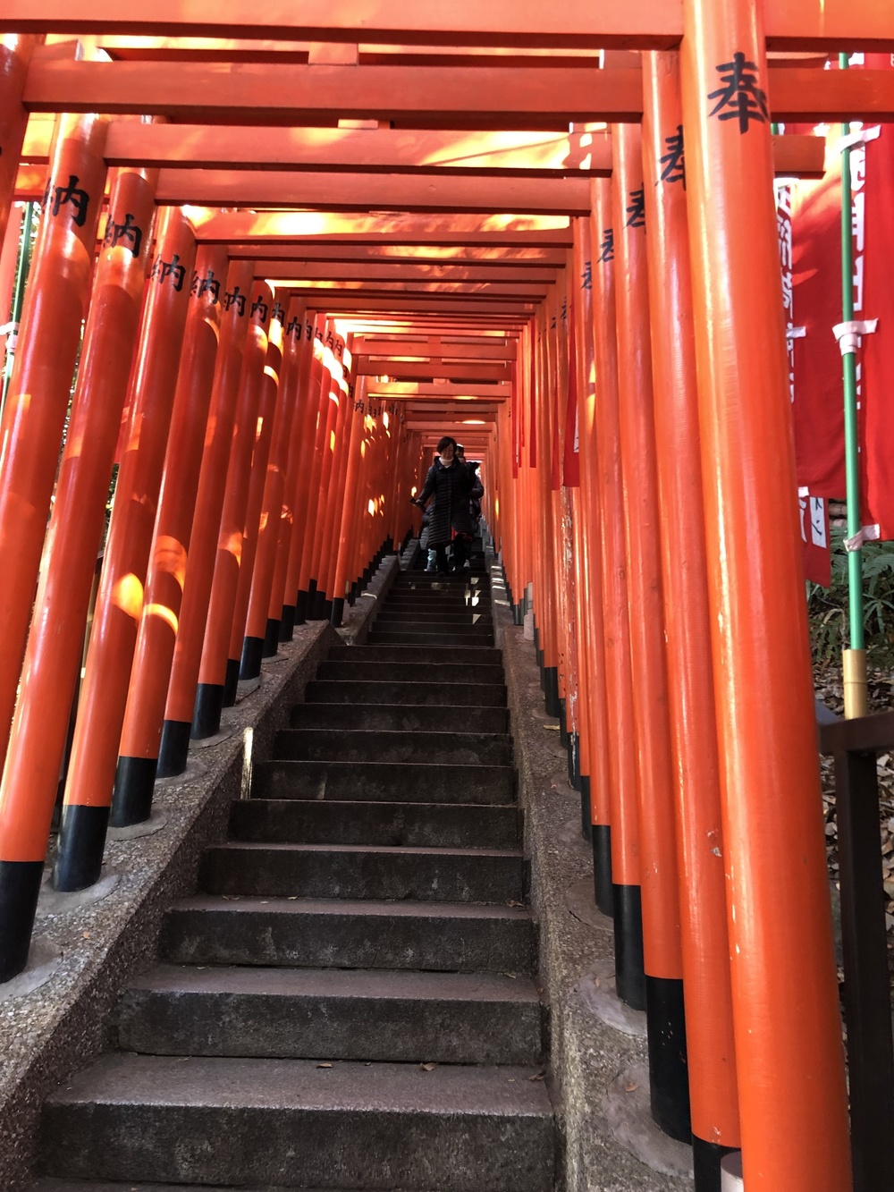 東京のど真ん中を駆け上がれ！赤坂の坂を盛んに学ぶ会Attack at climb of AKASAKAの写真17
