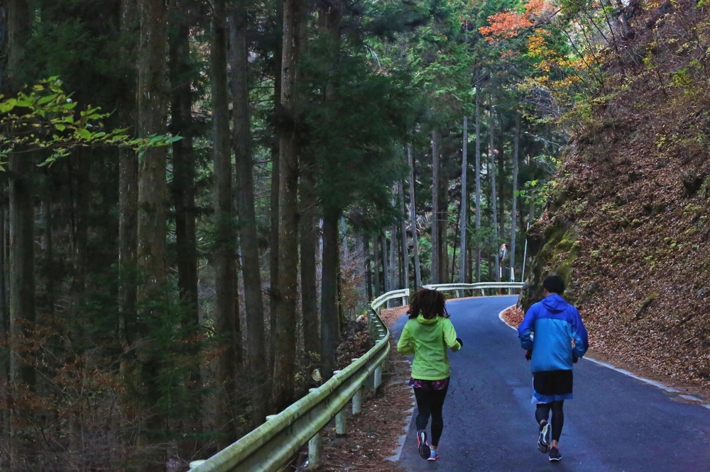 南信州 里山周遊 法全寺コースの写真3