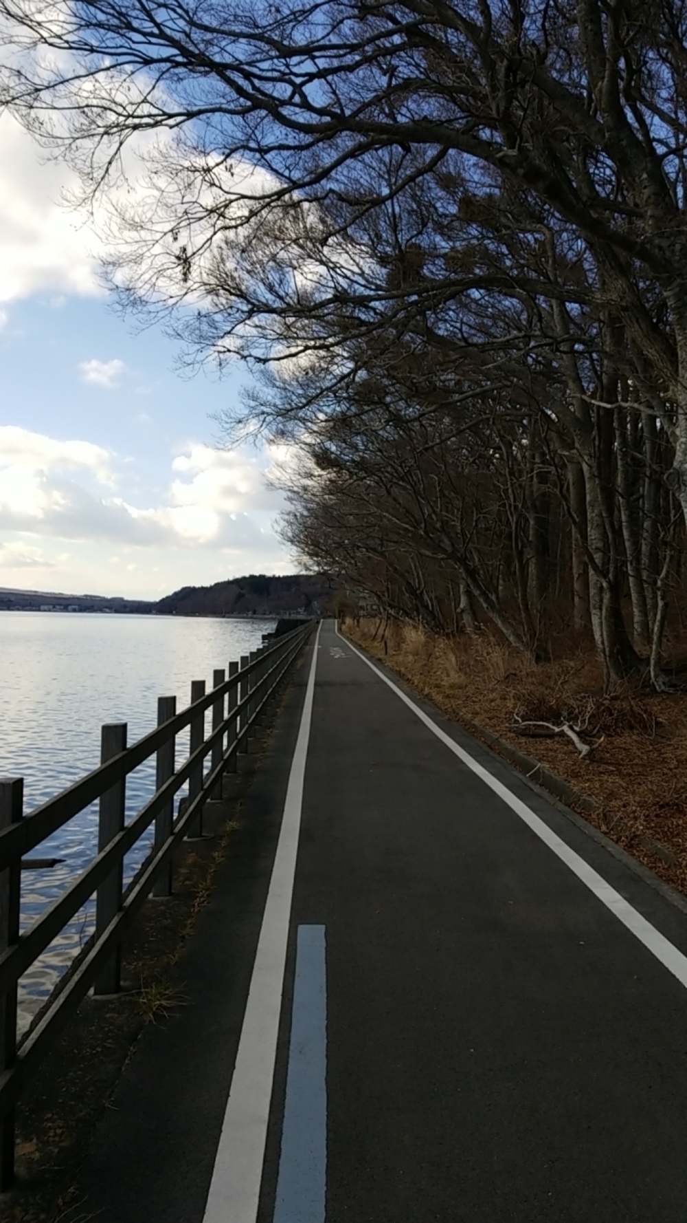 山中湖一周RUN🏃‍♂️🏃‍♀️💨の写真4