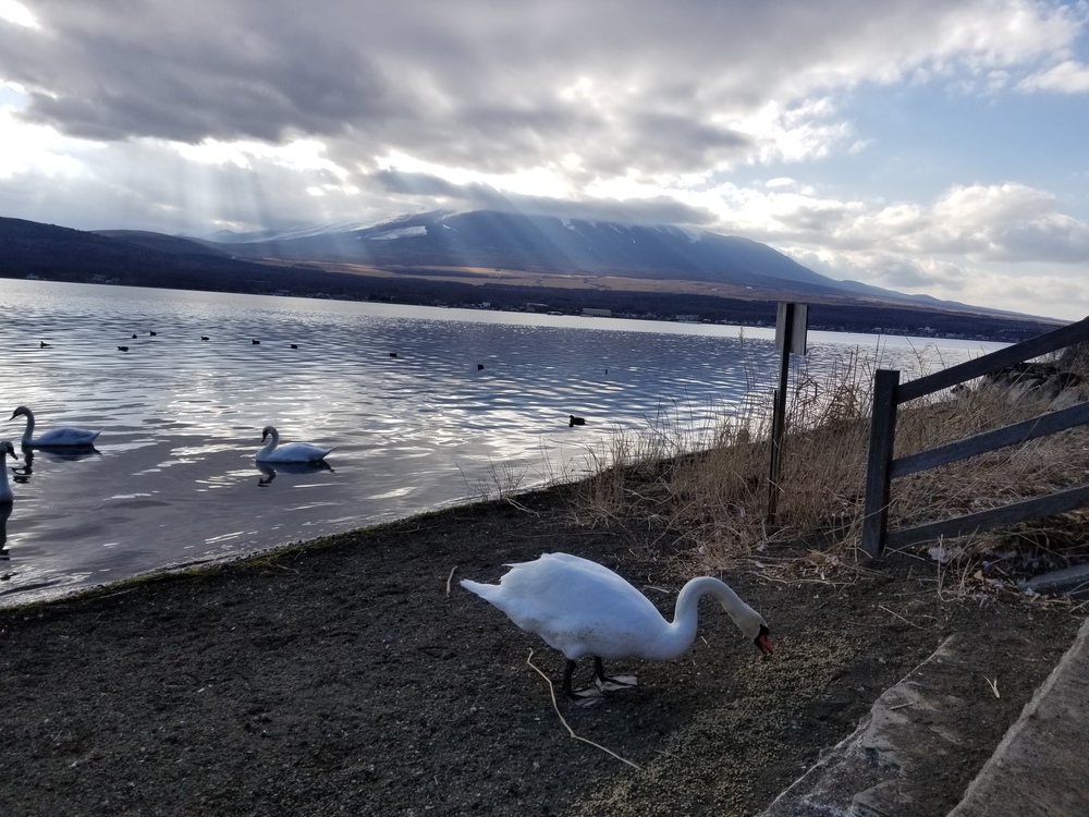 山中湖一周RUN🏃‍♂️🏃‍♀️💨の写真5