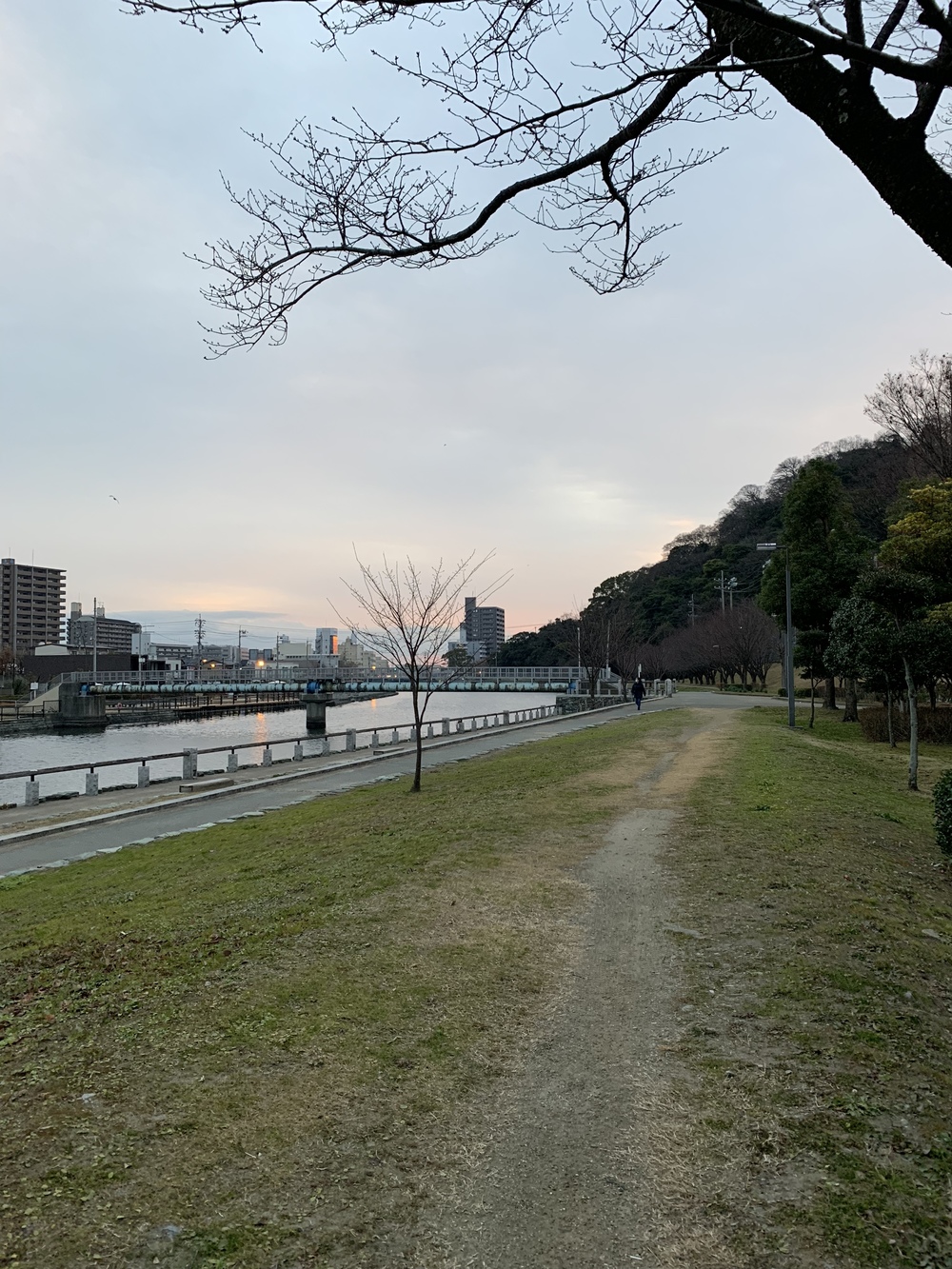 徳島出張ラン〜眉山を眺めながらの写真3