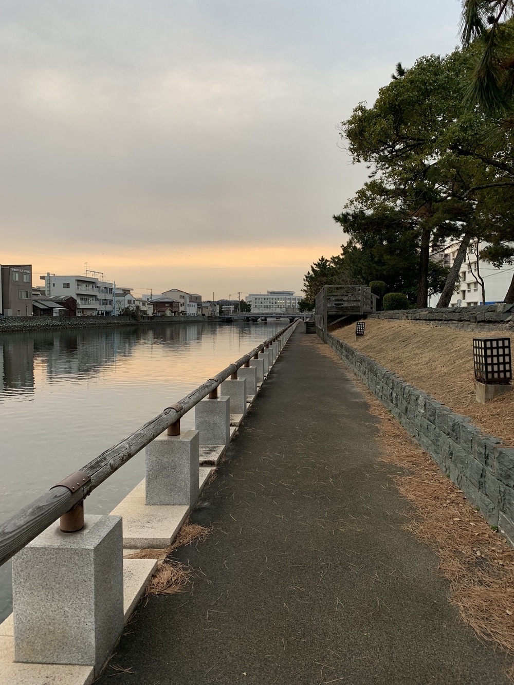 徳島出張ラン〜眉山を眺めながらの写真4