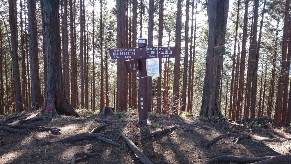 TOKYO TEN SUMMIT MOUNTAIN TRAIL (MITAKE toTAKAO)の写真6