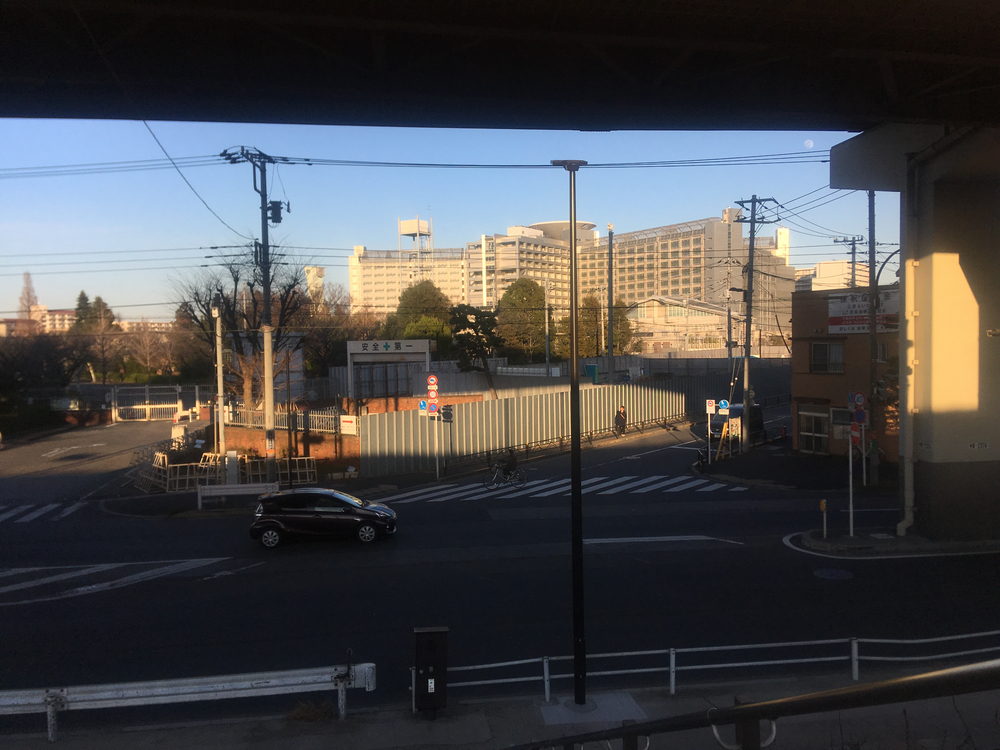 荒川沿いノンストップ30km走の写真3