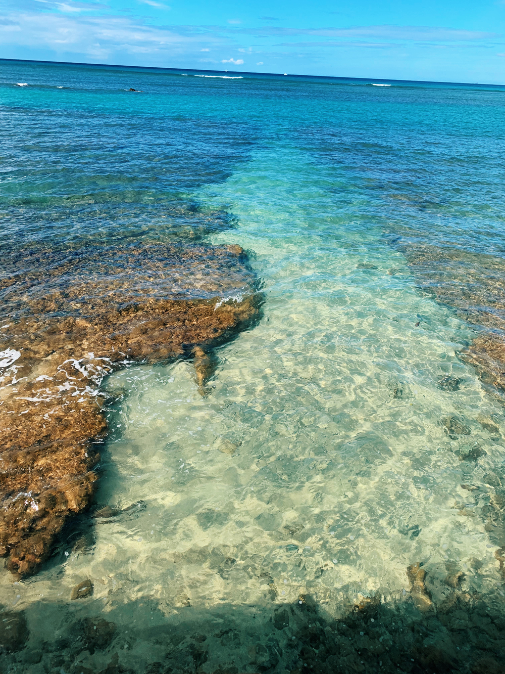 走る時間によって違う景色を楽しめるrun!の写真3