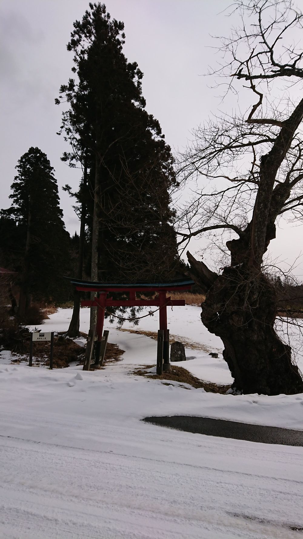 【綾織→小友】山越え周遊コースの写真4