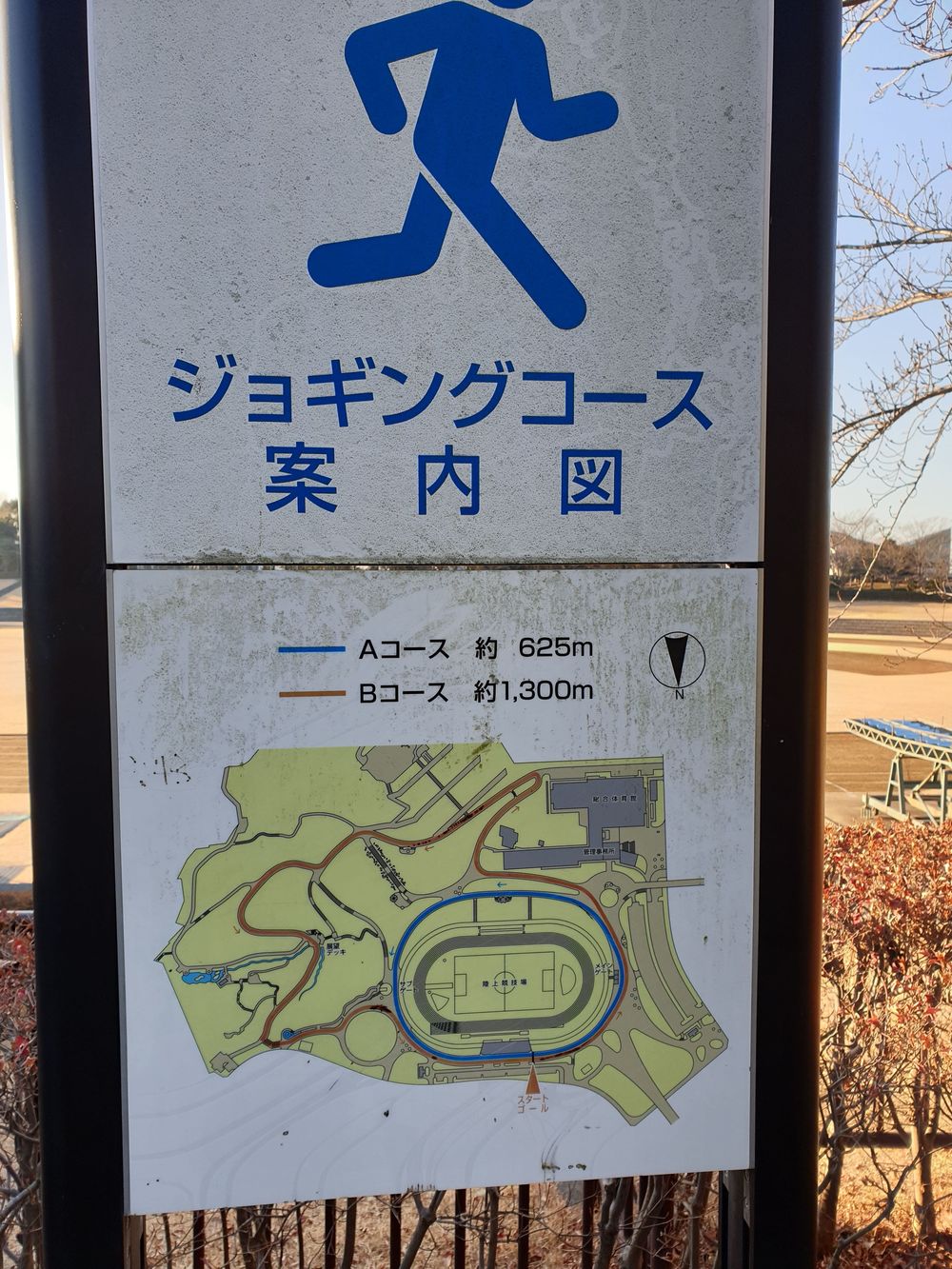 東京都下の里山・稲城市中央公園から城山公園の写真4
