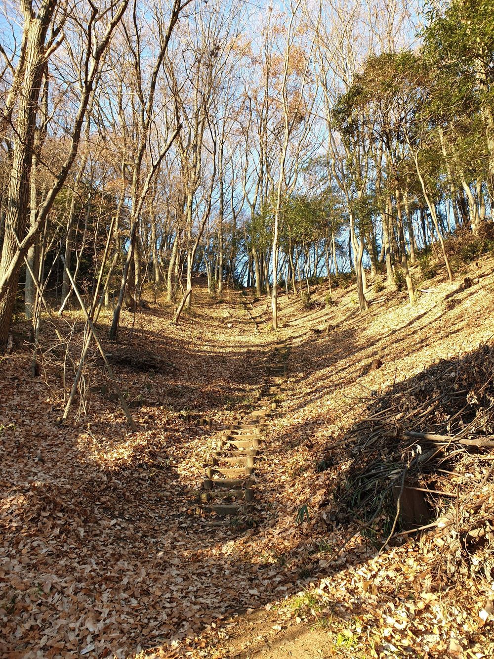 東京都下の里山・稲城市中央公園から城山公園の写真6
