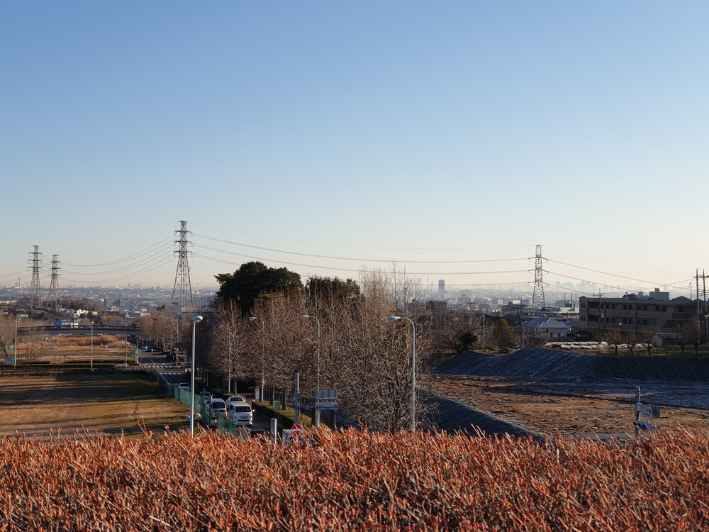 東京都下の里山・稲城市中央公園から城山公園の写真8