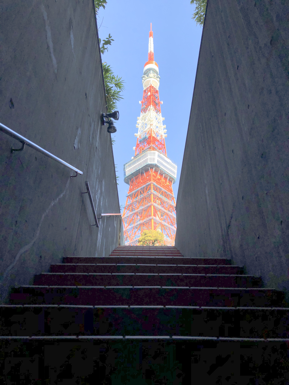 【東京・芝公園】東京タワーを堪能する！の写真3