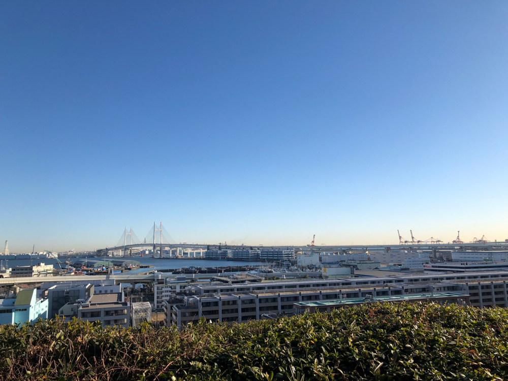 モーニング山下公園周辺ランの写真3