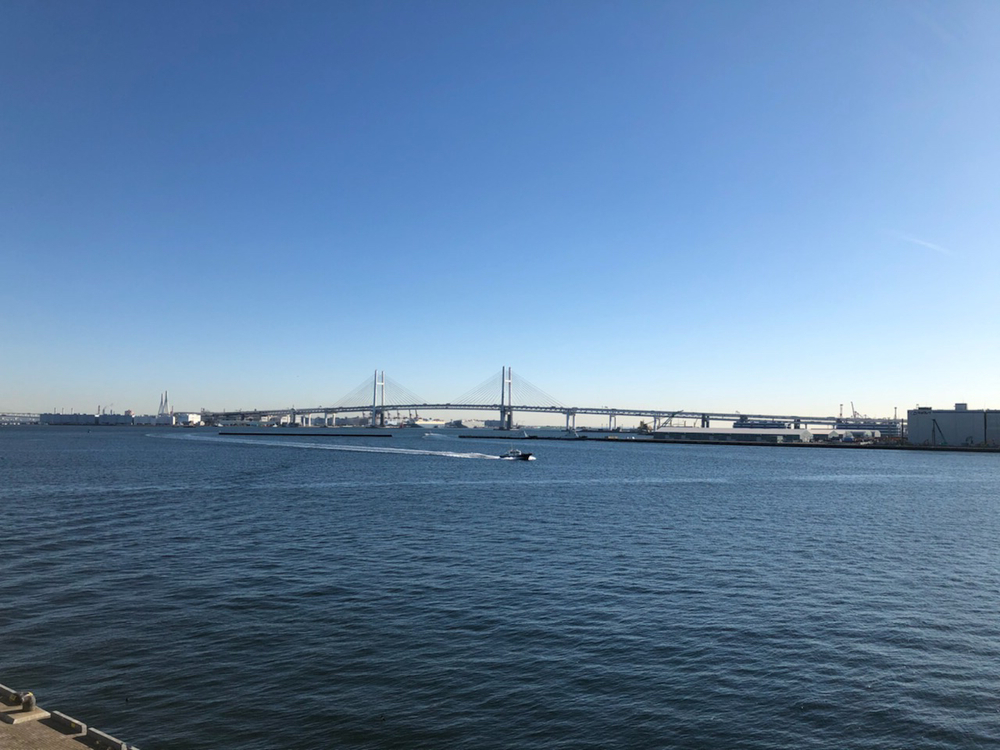 モーニング山下公園周辺ランの写真4