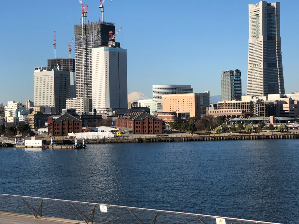 モーニング山下公園周辺ランの写真5