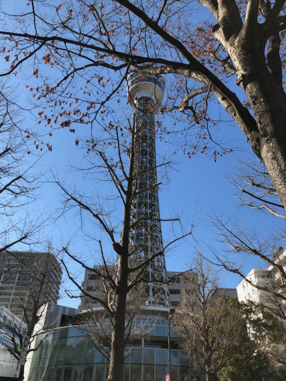 モーニング山下公園周辺ランの写真6