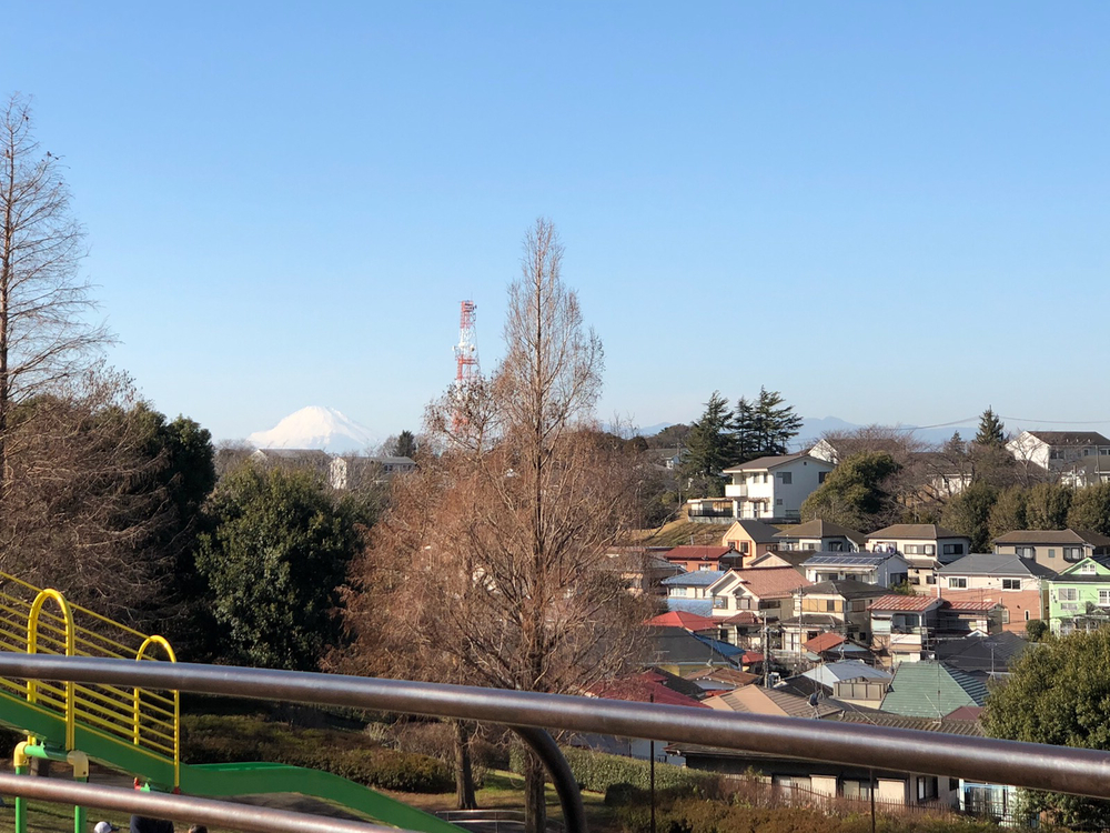 モーニング山下公園周辺ランの写真11