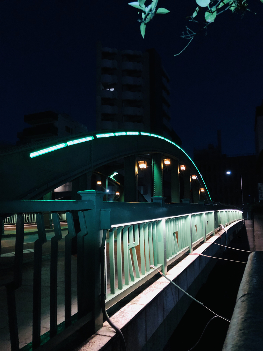 冬はつとめて。築地↩︎↪︎東京スカイツリー via 隅田川テラス。の写真4