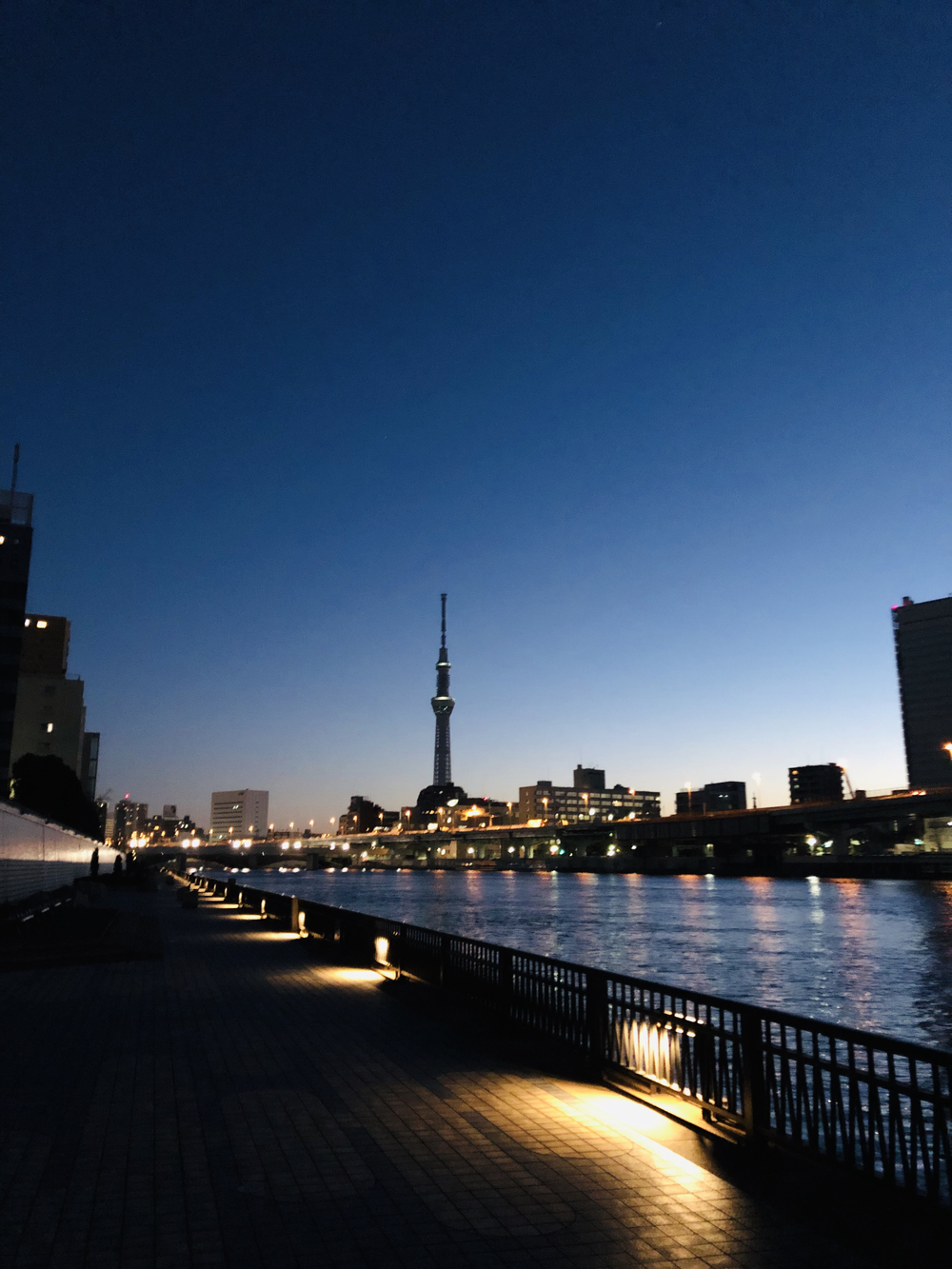 冬はつとめて。築地↩︎↪︎東京スカイツリー via 隅田川テラス。の写真5