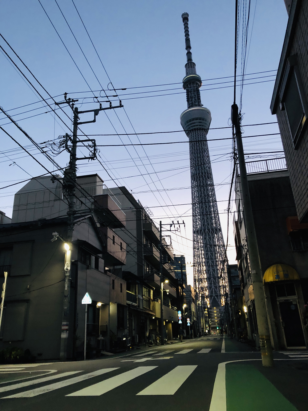 冬はつとめて。築地↩︎↪︎東京スカイツリー via 隅田川テラス。の写真7