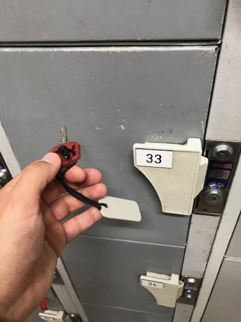 MacRitchie Reservoir Park Singapore マクリッチ貯水池 シンガポールの写真4