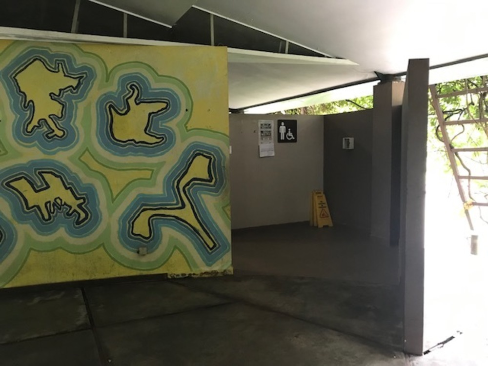 MacRitchie Reservoir Park Singapore マクリッチ貯水池 シンガポールの写真5