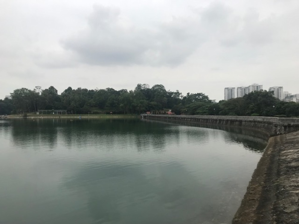 MacRitchie Reservoir Park Singapore マクリッチ貯水池 シンガポールの写真6