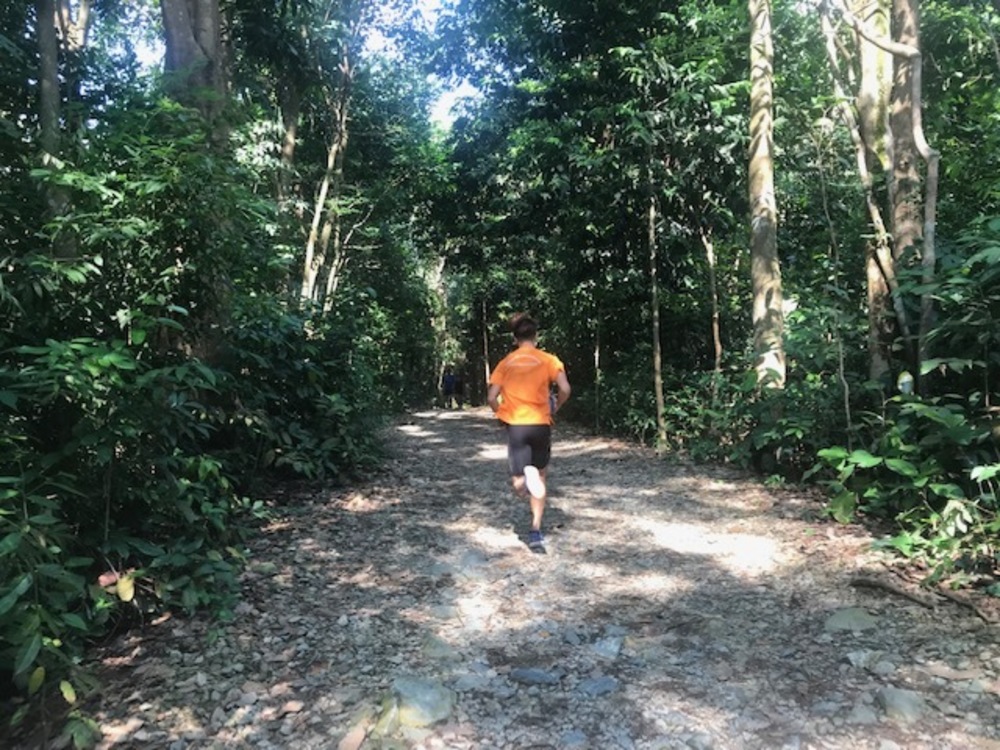 MacRitchie Reservoir Park Singapore マクリッチ貯水池 シンガポールの写真7
