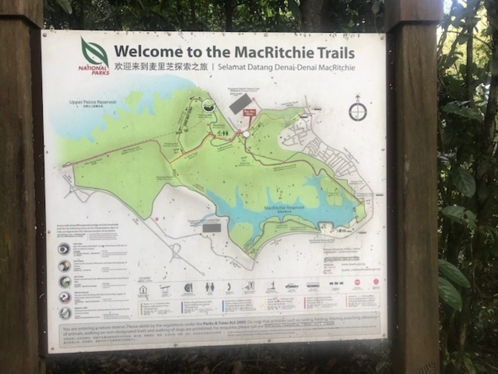 MacRitchie Reservoir Park Singapore マクリッチ貯水池 シンガポールの写真9