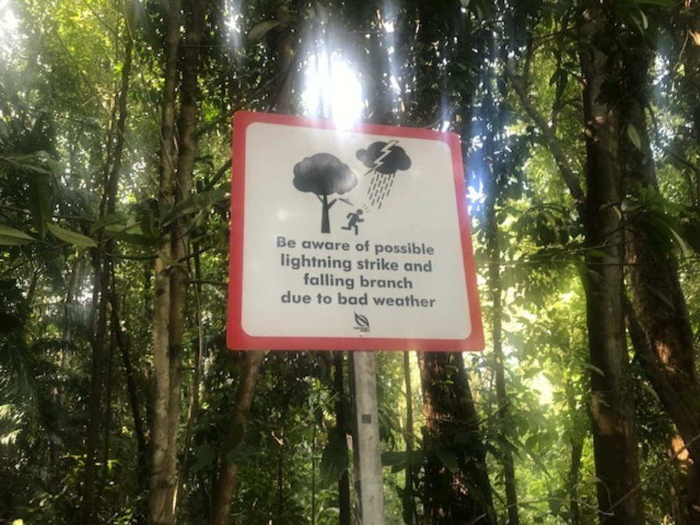 MacRitchie Reservoir Park Singapore マクリッチ貯水池 シンガポールの写真10