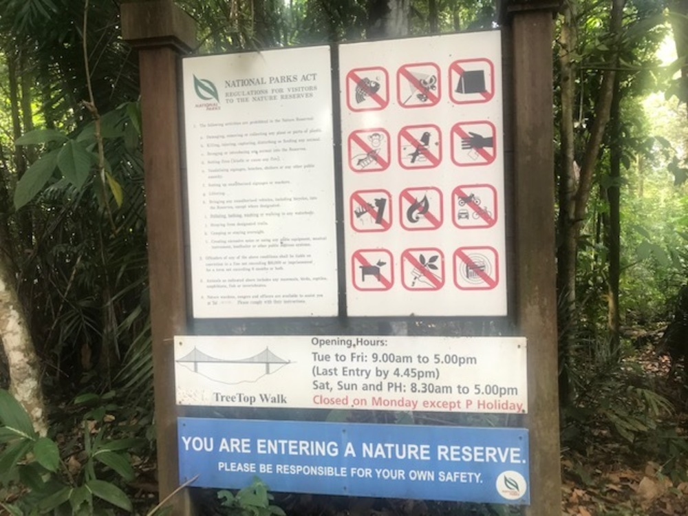 MacRitchie Reservoir Park Singapore マクリッチ貯水池 シンガポールの写真11