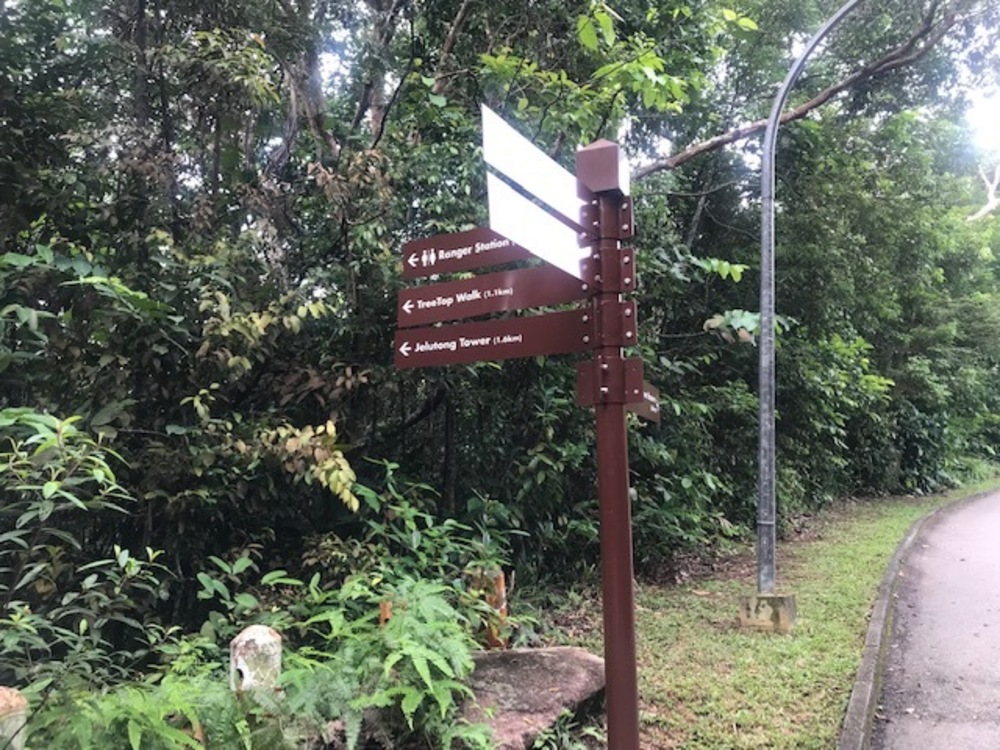MacRitchie Reservoir Park Singapore マクリッチ貯水池 シンガポールの写真13