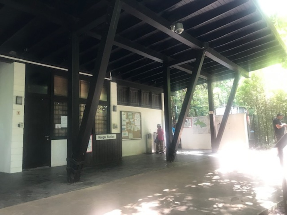 MacRitchie Reservoir Park Singapore マクリッチ貯水池 シンガポールの写真15