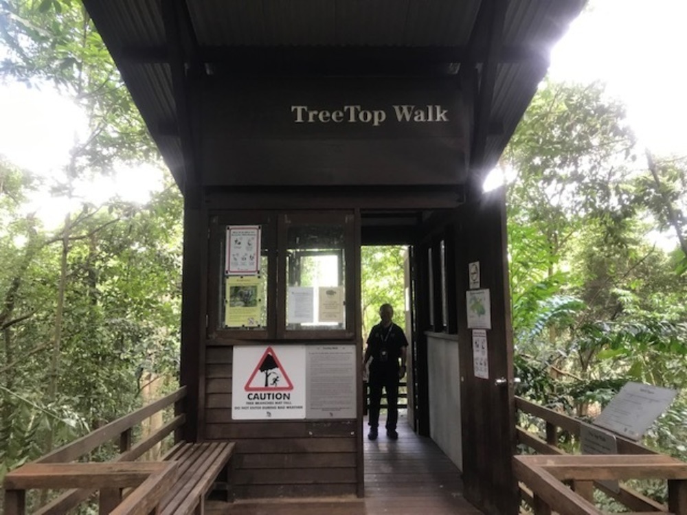 MacRitchie Reservoir Park Singapore マクリッチ貯水池 シンガポールの写真16