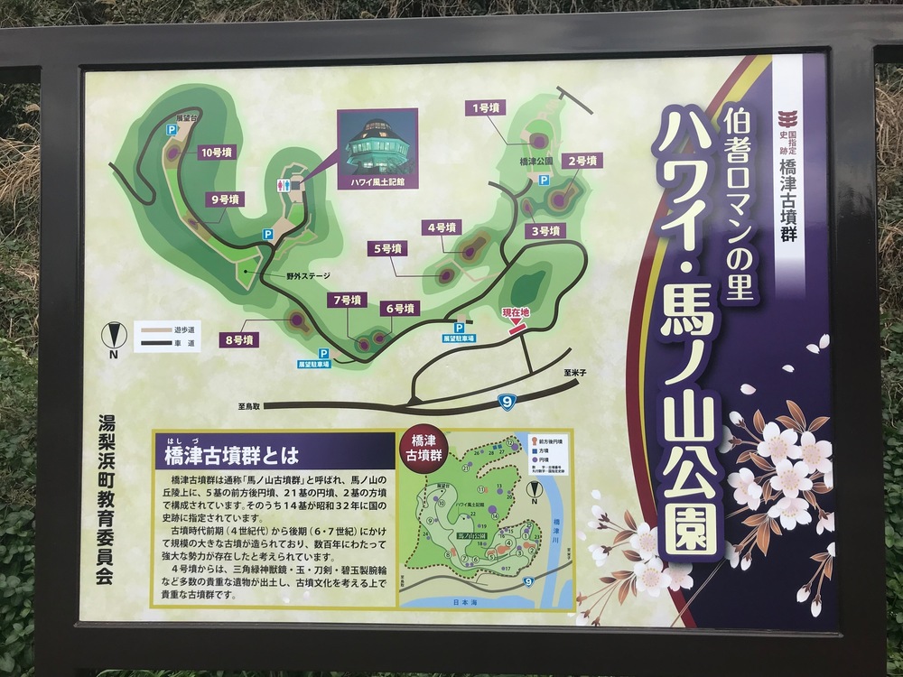 坂ジョグ「馬ノ山」 ひっそりとした雰囲気　鳥取県湯梨浜町　の写真3