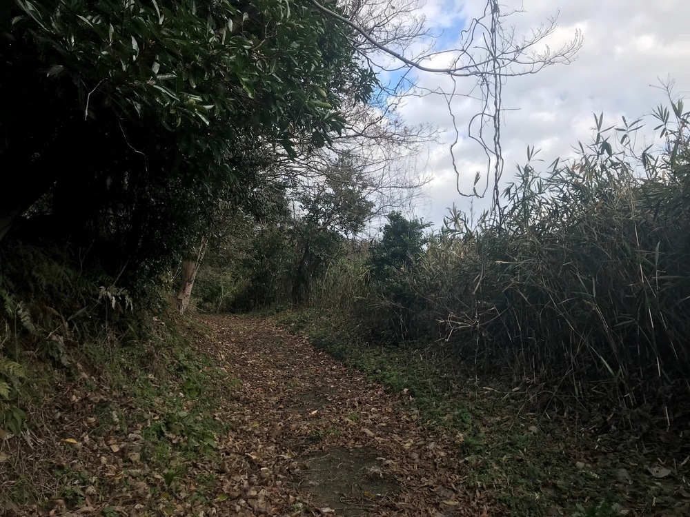 坂ジョグ「馬ノ山」 ひっそりとした雰囲気　鳥取県湯梨浜町　の写真11