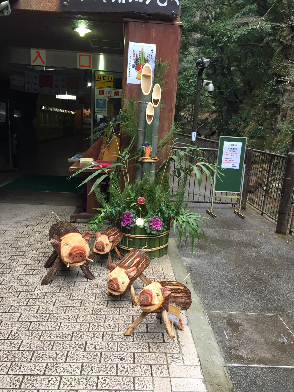 赤目四十八滝ランの写真3