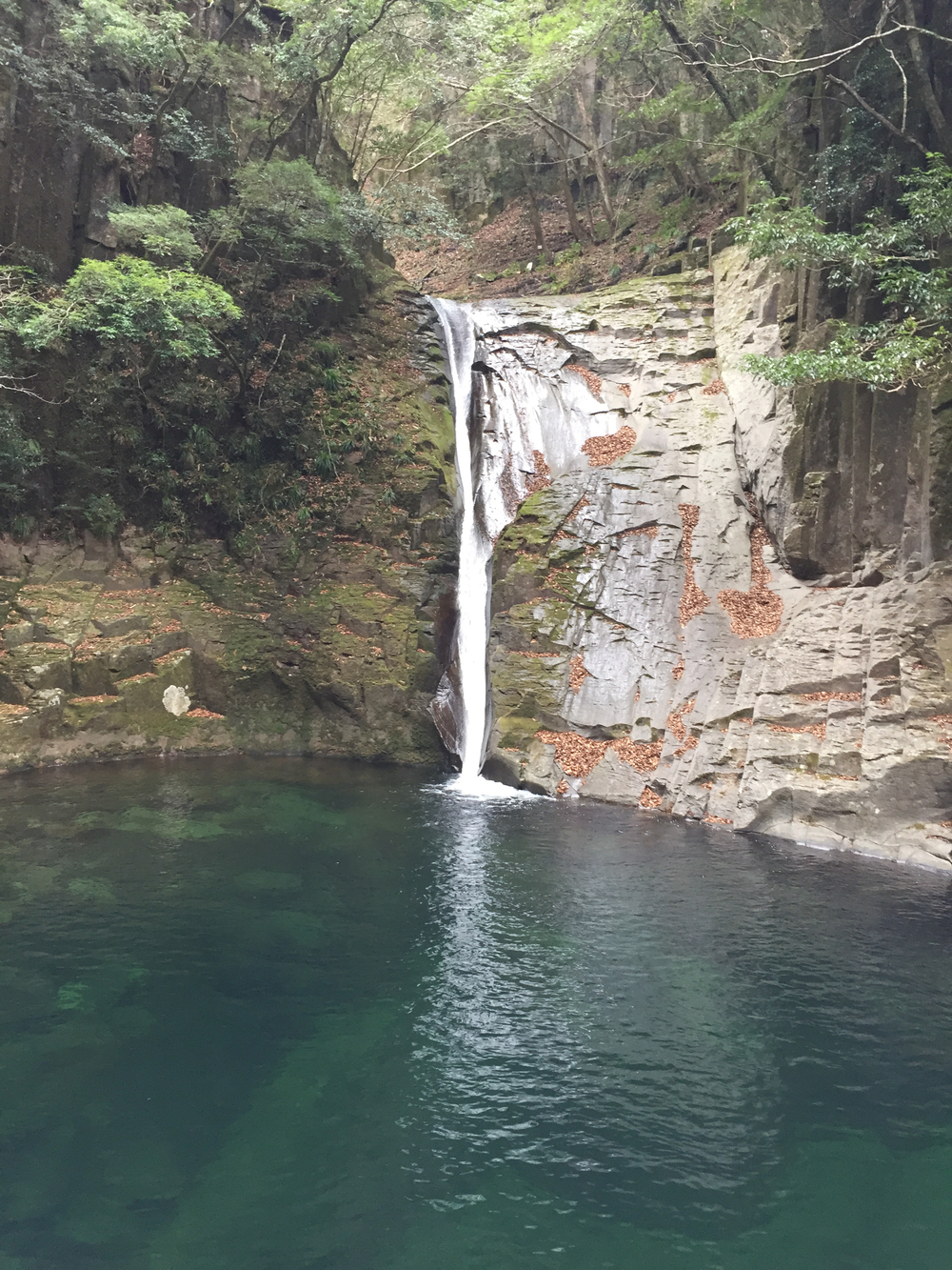 赤目四十八滝ランの写真4