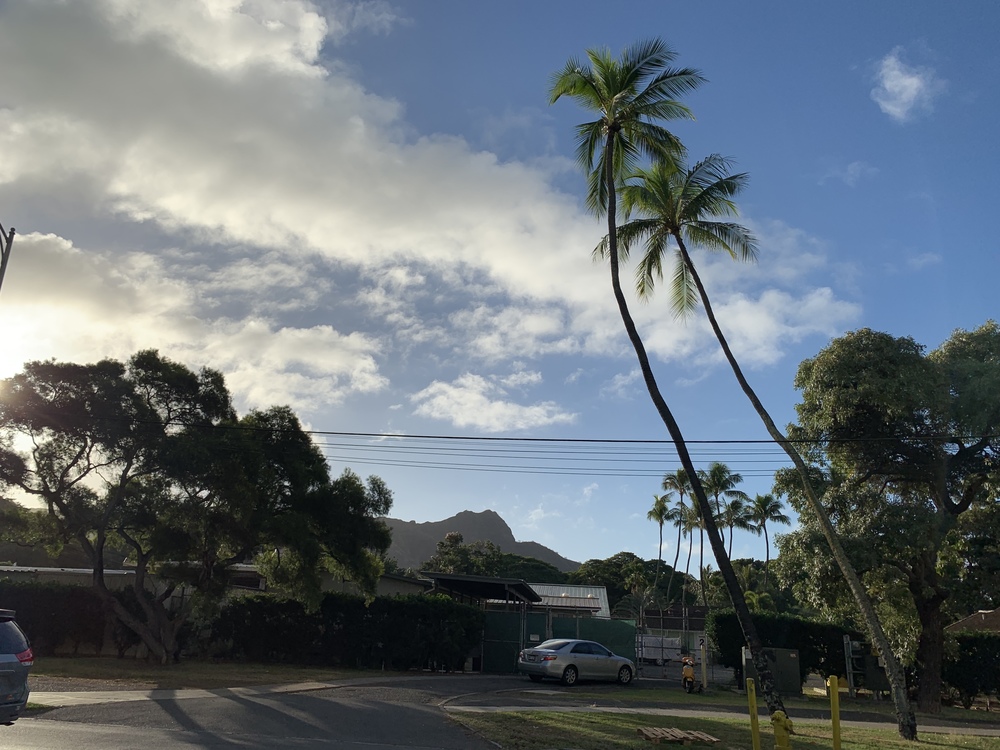 ランニング初心者がワイキキ市街地をのんびり走ってみたの写真4