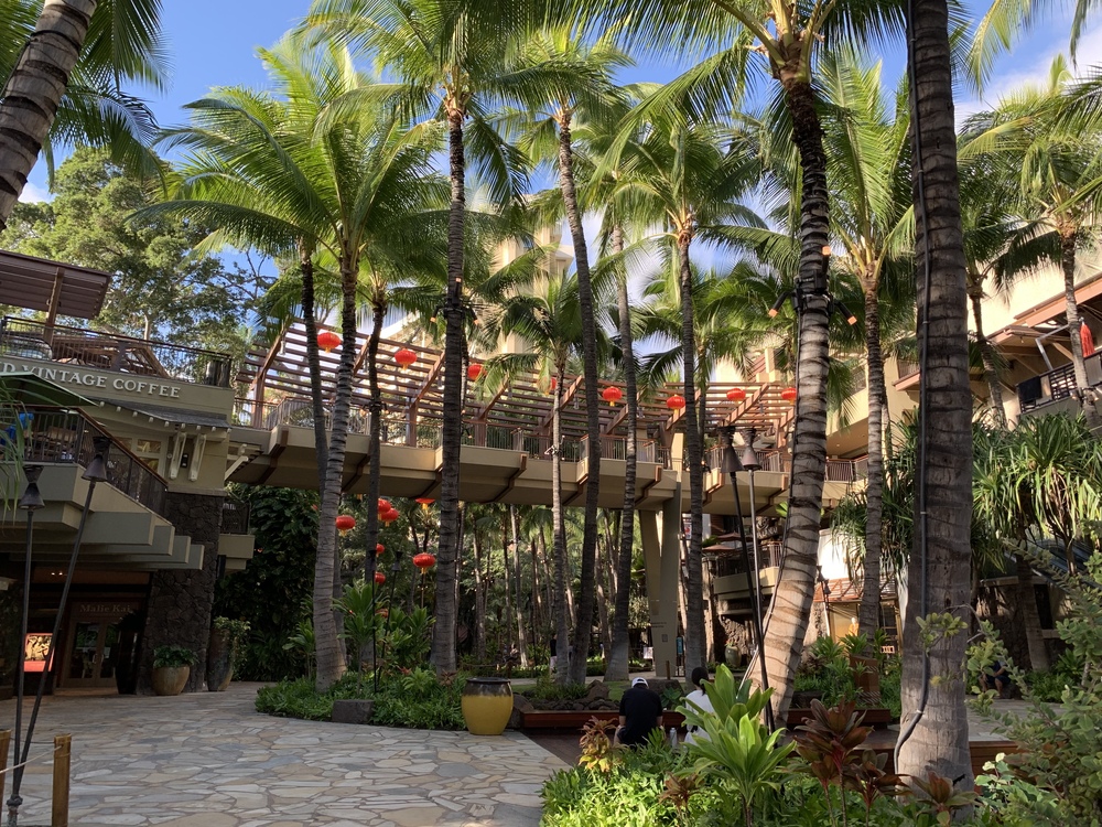 ランニング初心者がワイキキ市街地をのんびり走ってみたの写真9